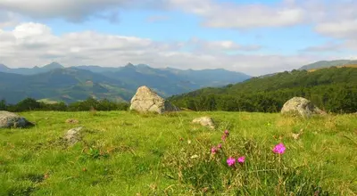 Paysage naturel près de la maison de vacances