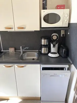 Cuisine ou kitchenette dans l'établissement Appartement 2 pièces Griou 29