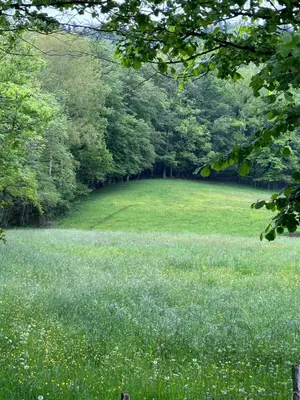 Paysage naturel près de la maison de vacances