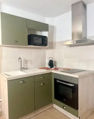 Cuisine ou kitchenette dans l'établissement Le Herriot 1 Hyper Centre 5min de la Gare à pied