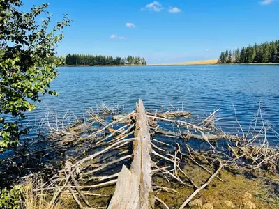 Paysage naturel près de la maison de vacances