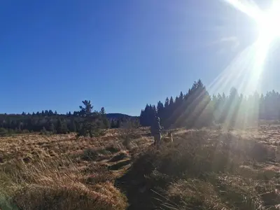 Paysage naturel près de la tente de luxe