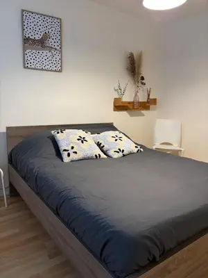 Un ou plusieurs lits dans un hébergement de l'établissement Le relais - Limoges