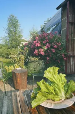 Jardin de l'établissement Ancienne grange typique nichée au cœur du Cantal