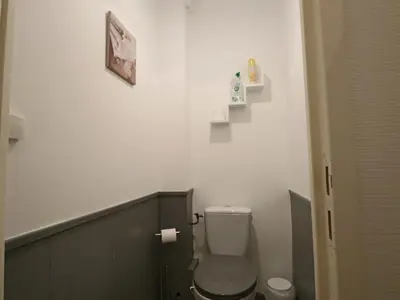 Salle de bains dans l'établissement Charmant appartement pour 2 au cœur du Massif du Sancy - FR-1-858-37