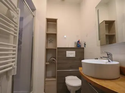 Salle de bains dans l'établissement Appartement 3* au cœur du Massif du Sancy, climatisé, jusqu'à 6 personnes - FR-1-858-38