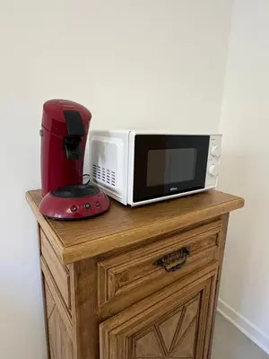 Télévision ou salle de divertissement dans l'établissement Appartement du Souvenir BIS Confort et Centre ville