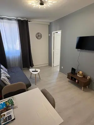 Télévision ou salle de divertissement dans l'établissement Appartement du Souvenirs Confort et Centre ville