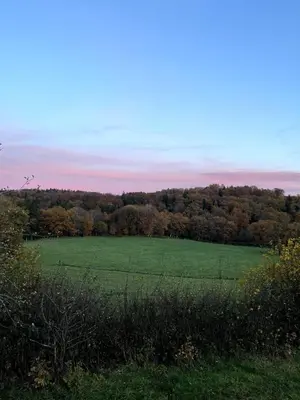 Paysage naturel près de le chalet