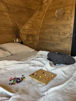 Un ou plusieurs lits dans un hébergement de l'établissement Nuit insolite dans un dôme