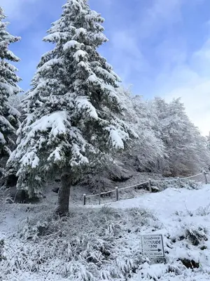 L'établissement Lioran - Appartement 3 chambre, 8 personnes en hiver