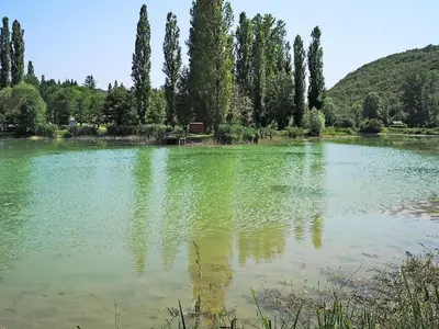 Paysage naturel près de le camping
