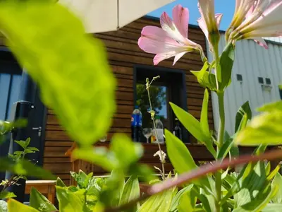 Jardin de l'établissement Maison éco-conçue près de Sarlat, 7 pers, Wifi, animaux OK - FR-1-828-11