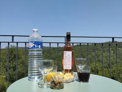 Boissons dans l'établissement Duplex éco-conçu avec terrasses, climatisation, Wi-Fi, parking - FR-1-828-12