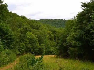 Paysage naturel près de la maison de vacances