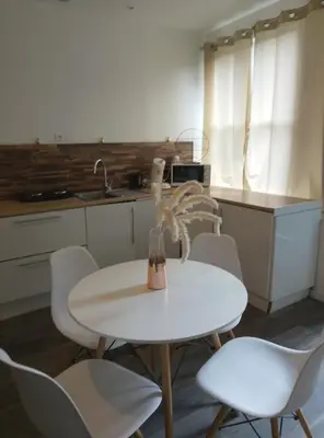 Cuisine ou kitchenette dans l'établissement Appartement Entier 1