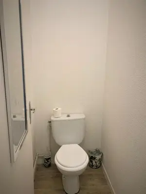 Salle de bains dans l'établissement Appartement double dans le centre de Limoges