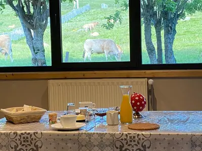 Animaux dans l'hôtel ou à proximité