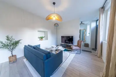 Télévision ou salle de divertissement dans l'établissement Le Berthelot Coeur de Brive - 2 Chambres