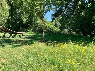 Jardin de l'établissement Studio 1- Cinema Sport Parking - DABNB