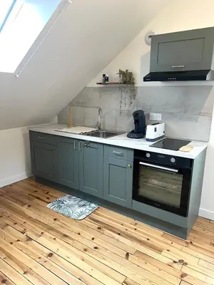 Cuisine ou kitchenette dans l'établissement Appartement Le Dôme-Vue sur les montagnes