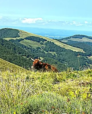 Paysage naturel près de la maison de vacances