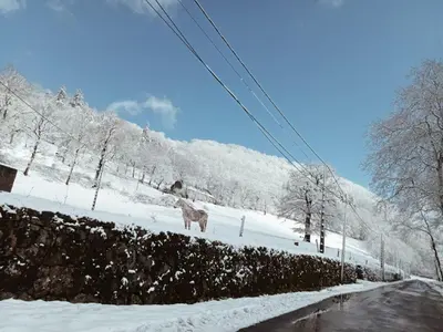 L'établissement Le Zen Altitude en hiver