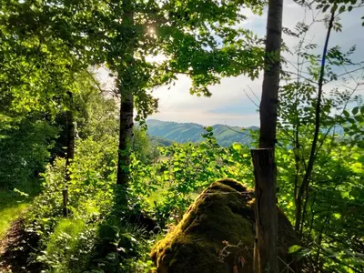 Paysage naturel près de la maison de vacances