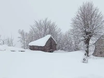 L'établissement Le Zen Altitude en hiver