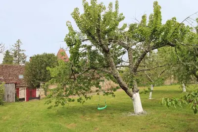 Jardin de l'établissement La maison du potager