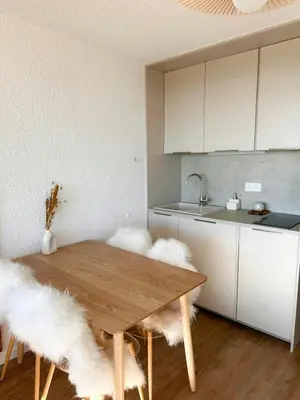 Cuisine ou kitchenette dans l'établissement Renovated Studio Near Super-Besse Ski Slopes