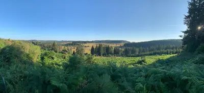 Paysage naturel près de la maison de vacances