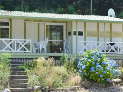 Jardin de l'établissement Chalet 6 pers avec Terrasse et Barbecue - API-1-52-1243