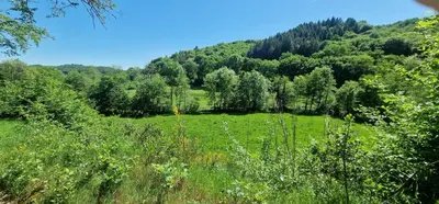 Paysage naturel près de la maison de vacances