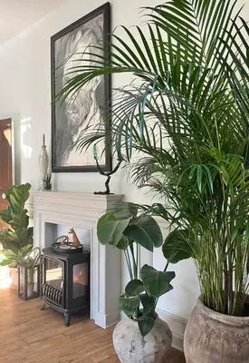 Plan de l'établissement Tres Jolie Maison