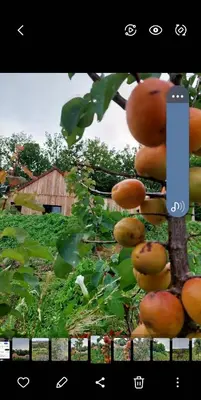 Jardin de l'établissement Le Cledoux