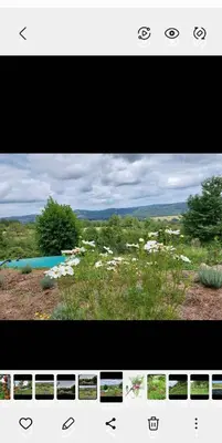 Paysage naturel près de la maison de vacances