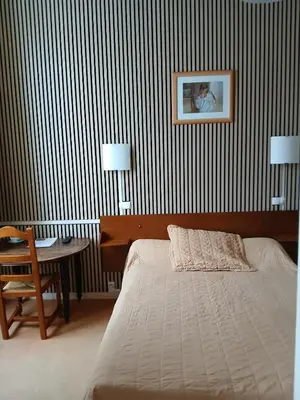 Un ou plusieurs lits dans un hébergement de l'établissement Hôtel les Platanes