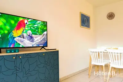 Télévision ou salle de divertissement dans l'établissement Balcons de Renoir Parking & piscine - Limoges