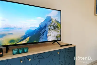 Télévision ou salle de divertissement dans l'établissement Balcons de Renoir Parking & piscine - Limoges