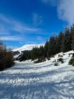 L'établissement Appartement cosy 6 personnes à Super Besse - balcon avec vue sur le Puy du Chambourguet - piscine intérieure - Wifi - parking et casier à ski en hiver