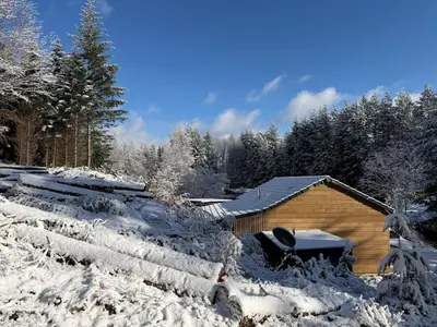L'établissement Chalet dans la nature en hiver