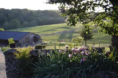 Paysage naturel près de la maison de vacances