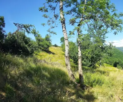 Paysage naturel près de la maison de vacances