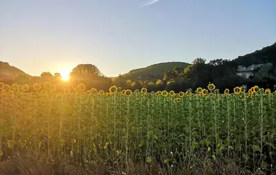 Paysage naturel près de la maison de vacances