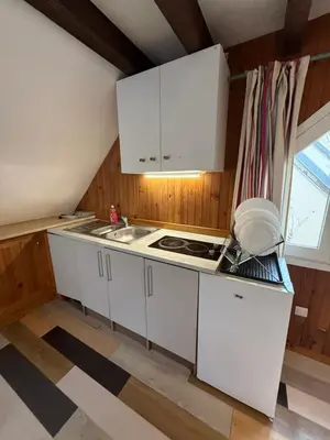 Cuisine ou kitchenette dans l'établissement LK gîte la forêt