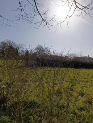 Paysage naturel près de la maison de vacances