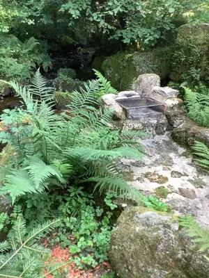 Paysage naturel près de la maison de vacances