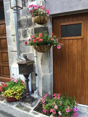 Jardin de l'établissement L'ESCALE DE CAMILLE