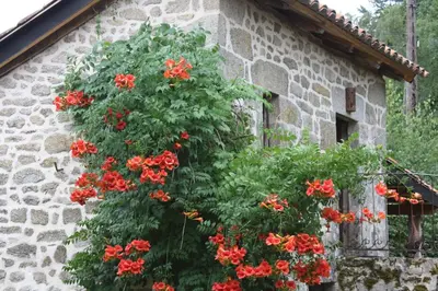 Jardin de l'établissement Cantal'Temps